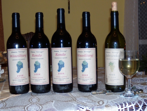 wino
